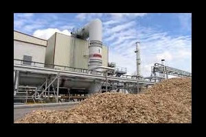 La biomasa eléctrica pierde más de 13.000 empleos en un año
